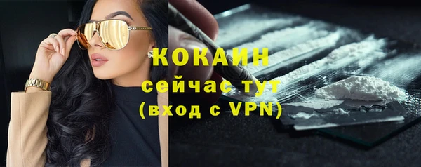 гидра Верея