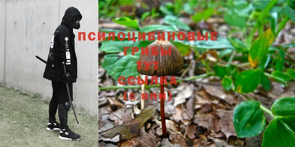прущий лед Богородицк