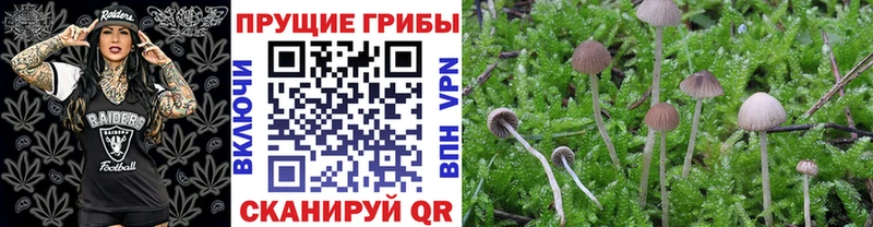 Галлюциногенные грибы мухоморы  где купить наркоту  Вятские Поляны 